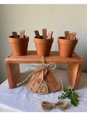 Mother’s Day Herb Garden Gift Set - Handmade Pine Plant Stand with Cherry Finish